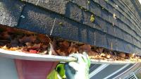 Clean Pro Gutter Cleaning Wilmington image 1